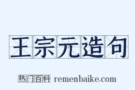 王宗元造句是什么意思的图片